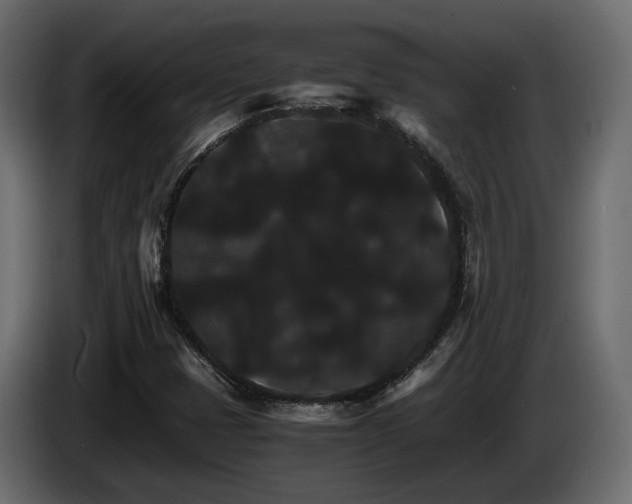 X0000085841401200703231432