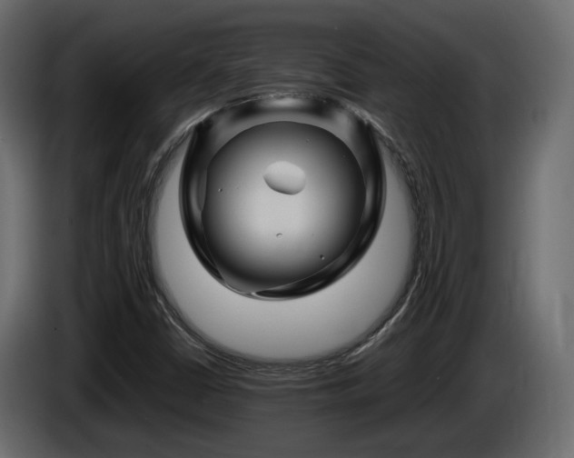 X0000085841402200703231432