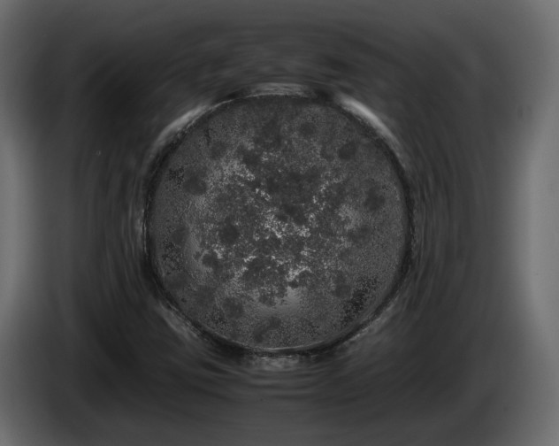 X0000085841403200703231432