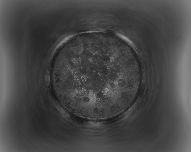 X0000085841407200703231432