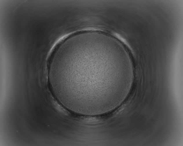 X0000085841408200703231432