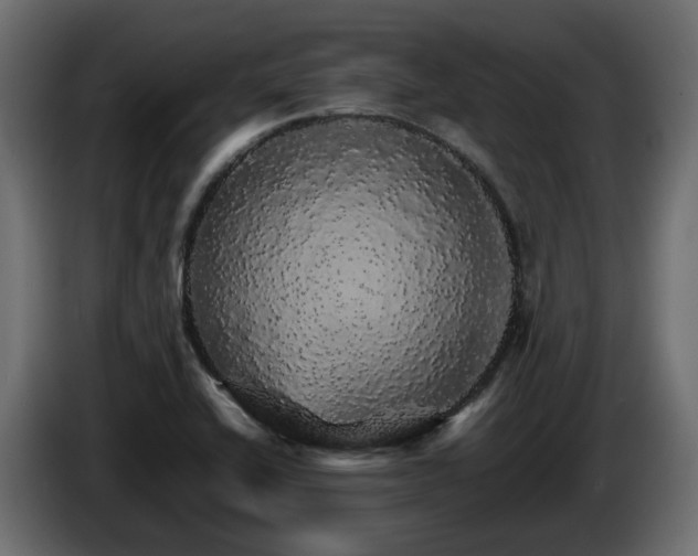 X0000085841416200703231432
