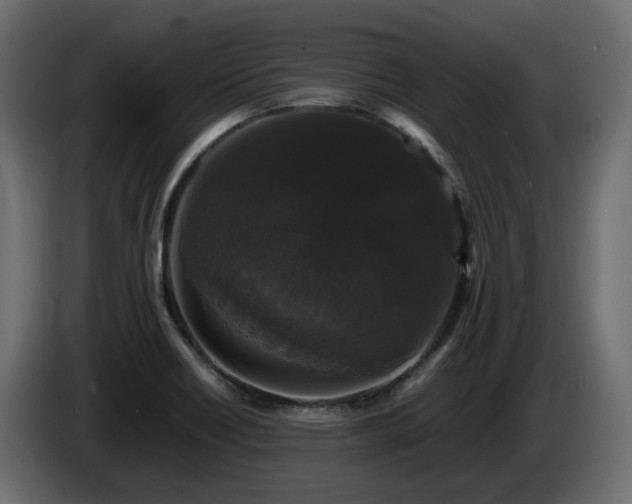 X0000085841418200703231432