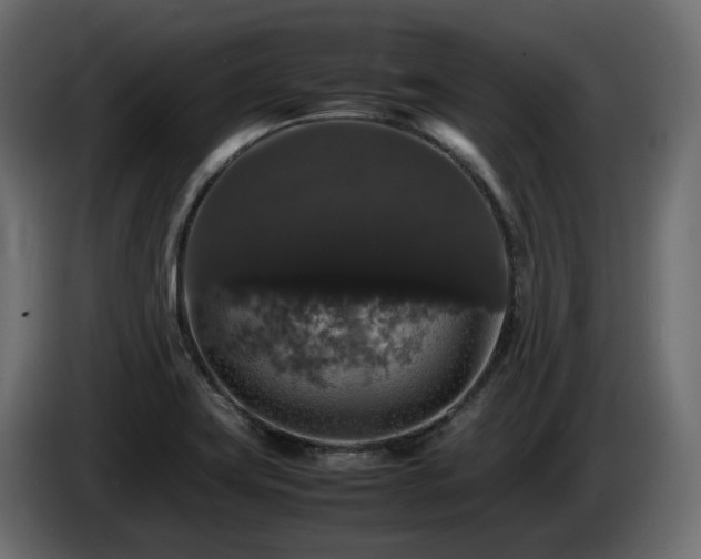 X0000085841419200703231432