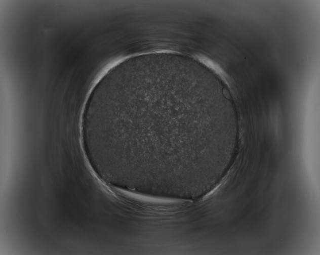 X0000085841423200703231432