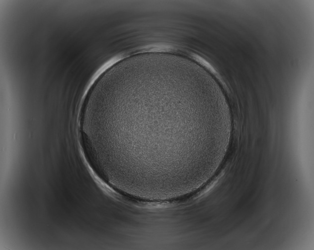 X0000085841426200703231432