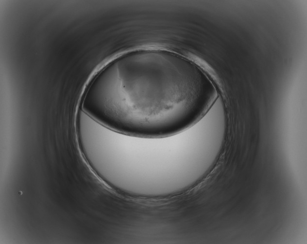 X0000085841428200703231432