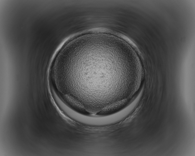 X0000085841430200703231432