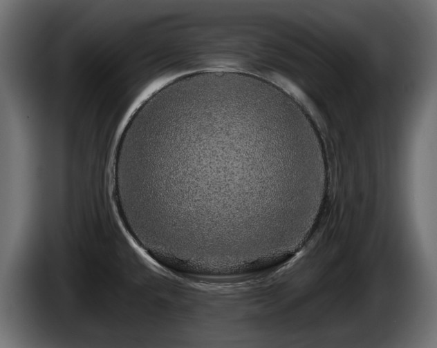X0000085841432200703231432