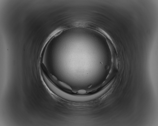 X0000085841434200703231432