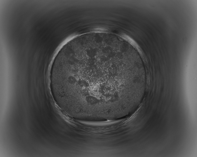 X0000085841435200703231432