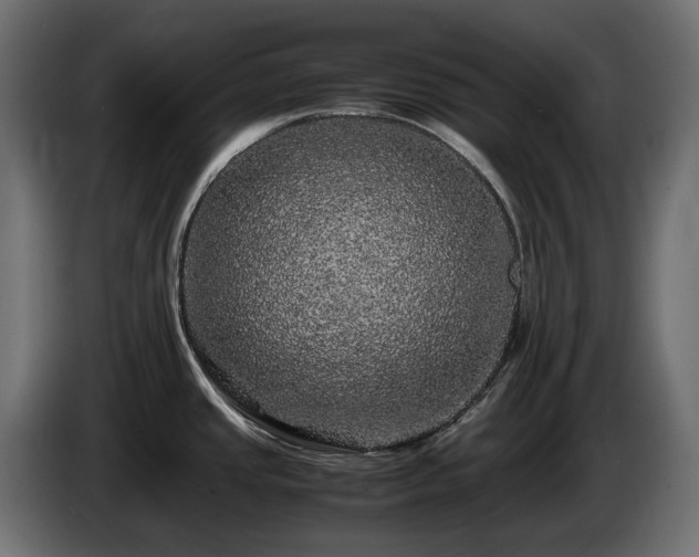 X0000085841437200703231433