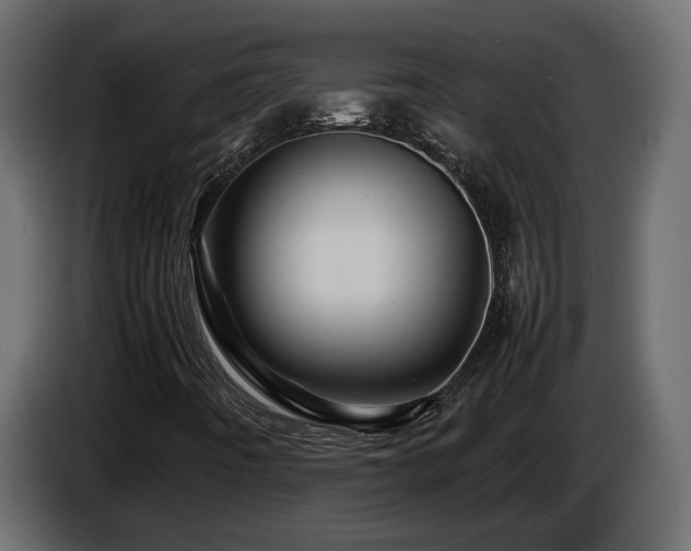 X0000085841442200703231432
