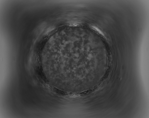X0000085841446200703231432