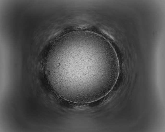 X0000085841447200703231432