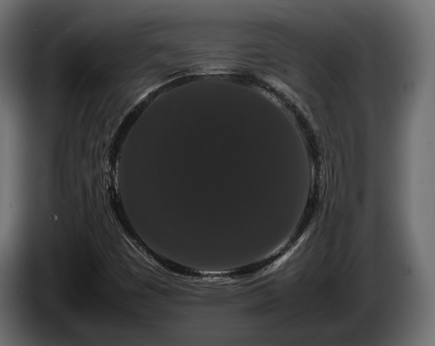 X0000085841449200703231432