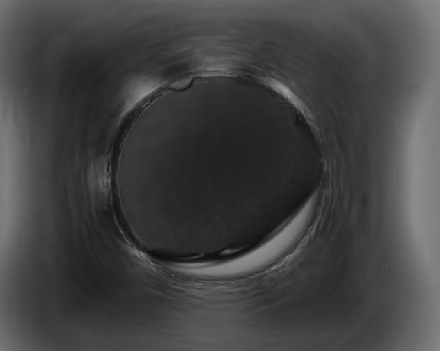 X0000085841450200703231432