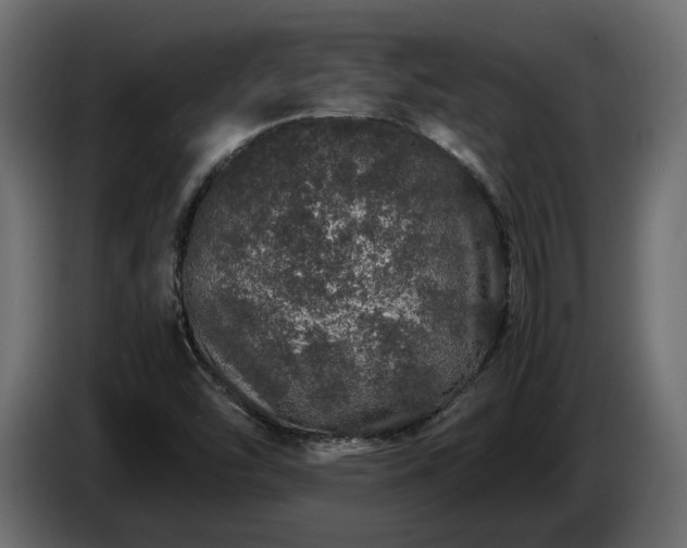 X0000085841454200703231432