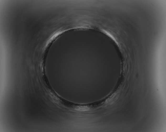X0000085841455200703231432