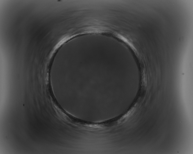 X0000085841459200703231432