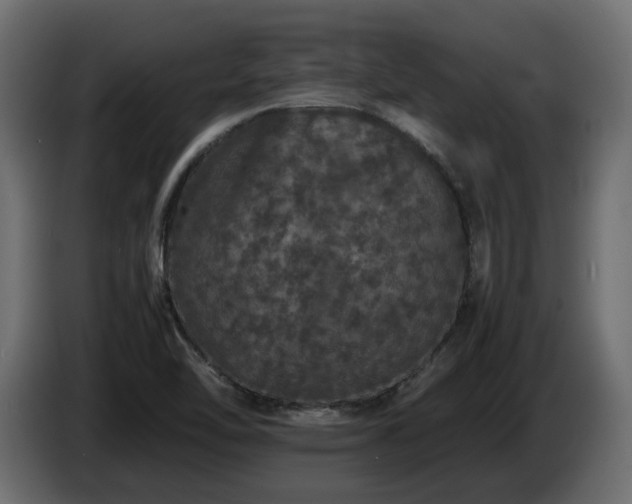 X0000085841462200703231432