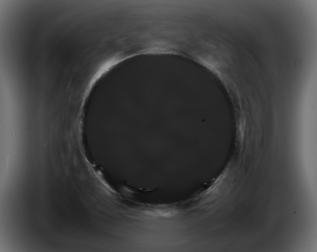 X0000085841463200703231432