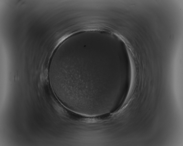 X0000085841465200703231432