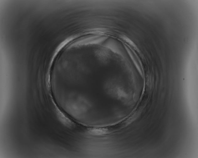 X0000085841466200703231432