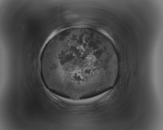 X0000085841467200703231432