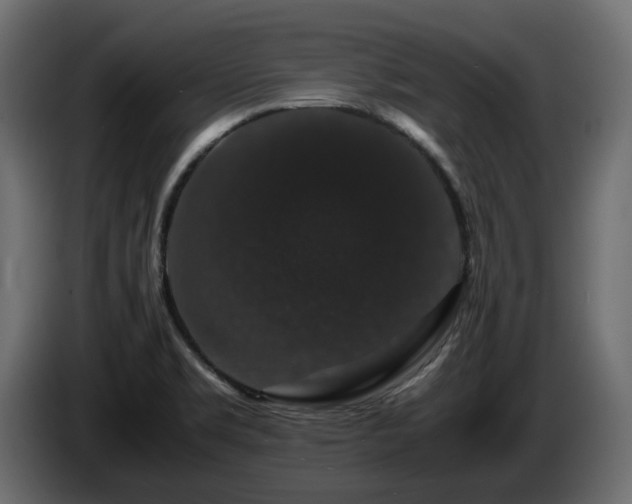 X0000085841469200703231431