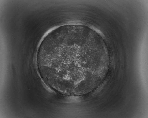 X0000085841470200703231431