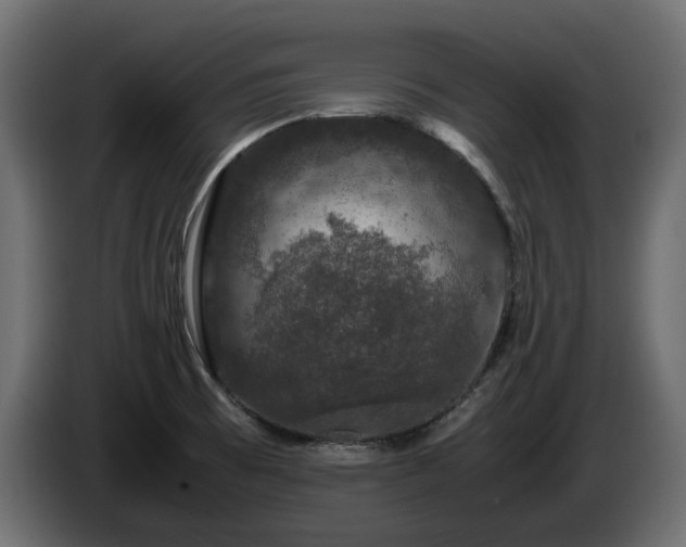 X0000085841473200703231431