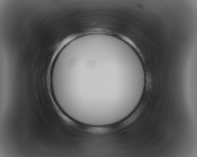 X0000085841474200703231431