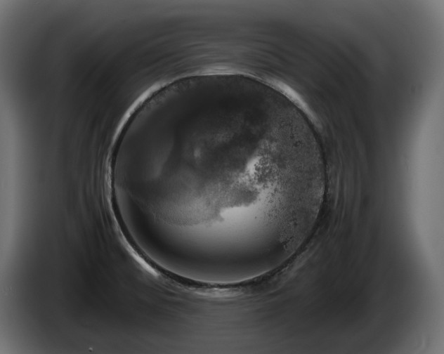 X0000085841476200703231431