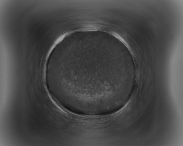 X0000085841477200703231431