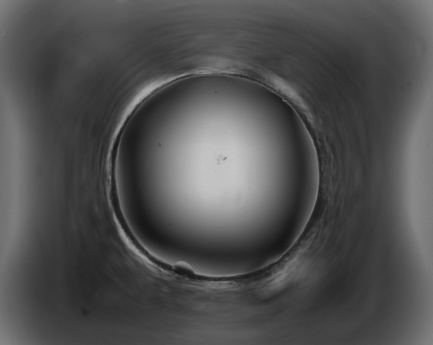 X0000085841479200703231431