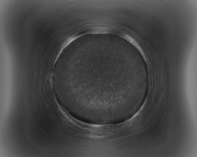X0000085841481200703231431