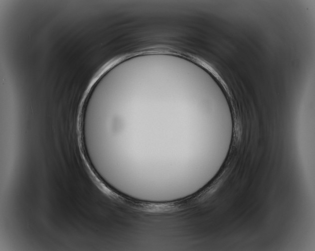 X0000085841482200703231431
