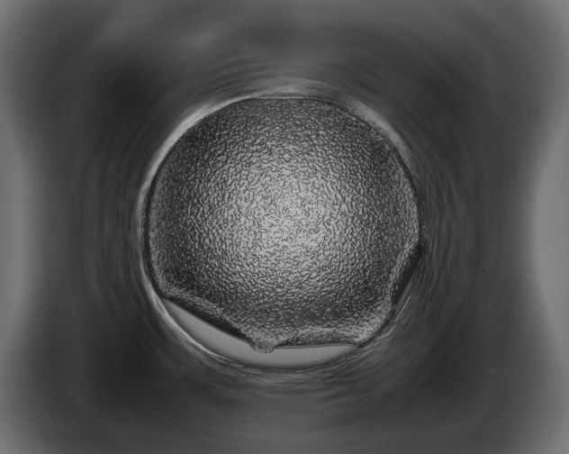 X0000085841483200703231431