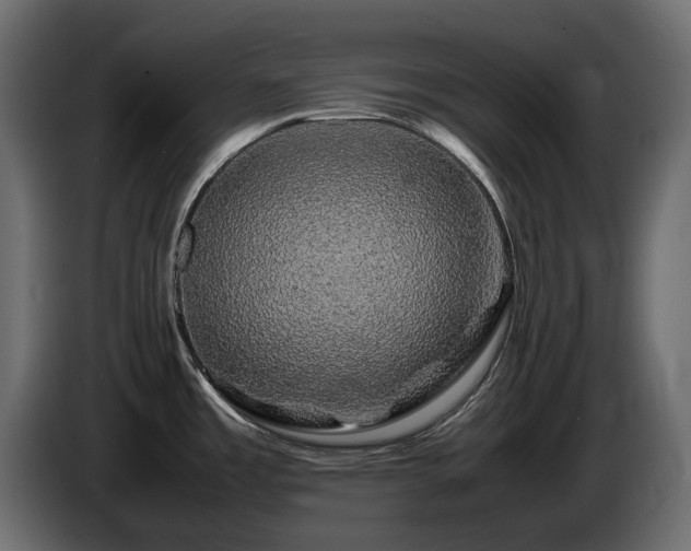 X0000085841485200703231431