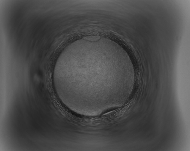 X0000085841489200703231431