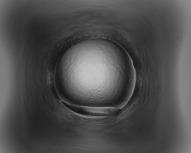X0000085841490200703231431