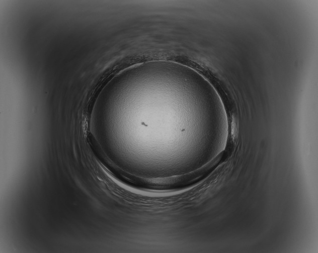 X0000085841492200703231431