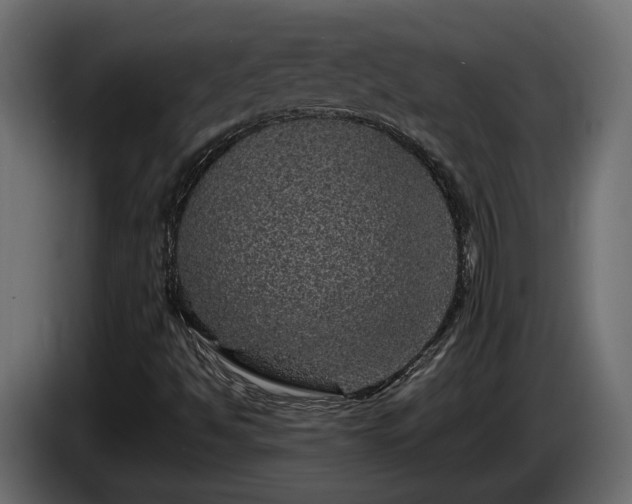 X0000085841494200703231431