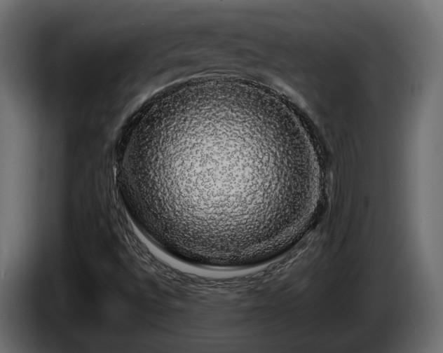 X0000085841496200703231431