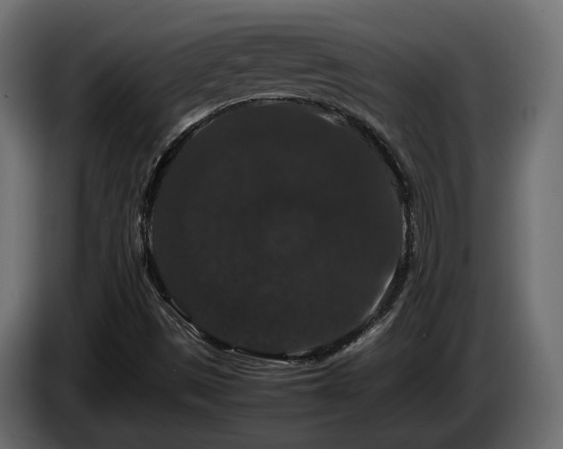 X0000085841497200703231431