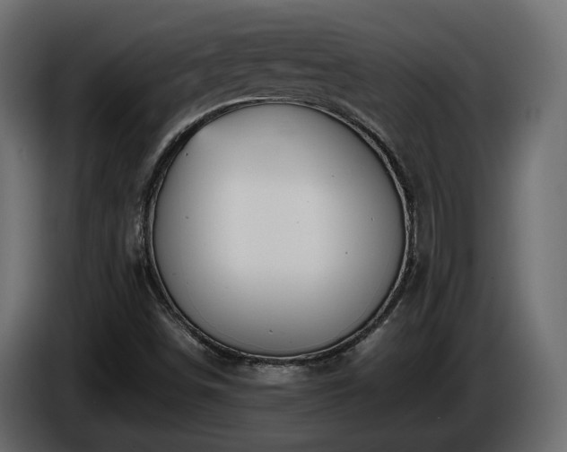 X0000085841498200703231431