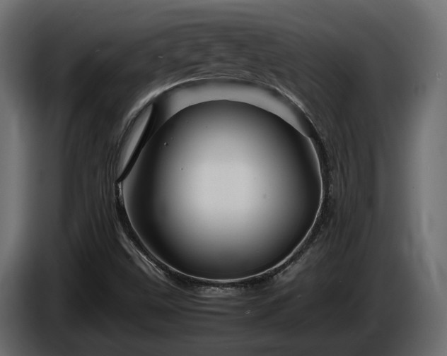 X0000085841499200703231431