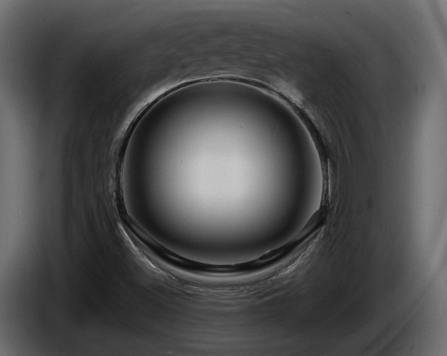 X0000085841500200703231431