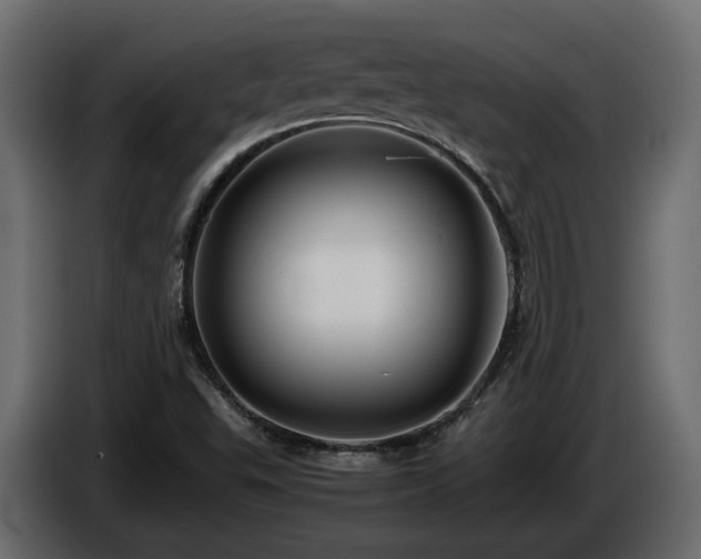 X0000085841503200703231431